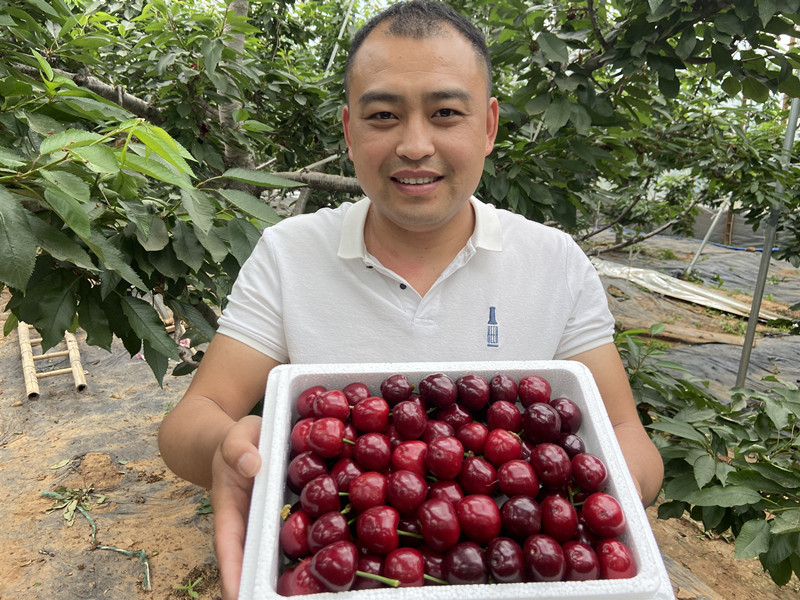 点击浏览下一张 点击浏览下一张